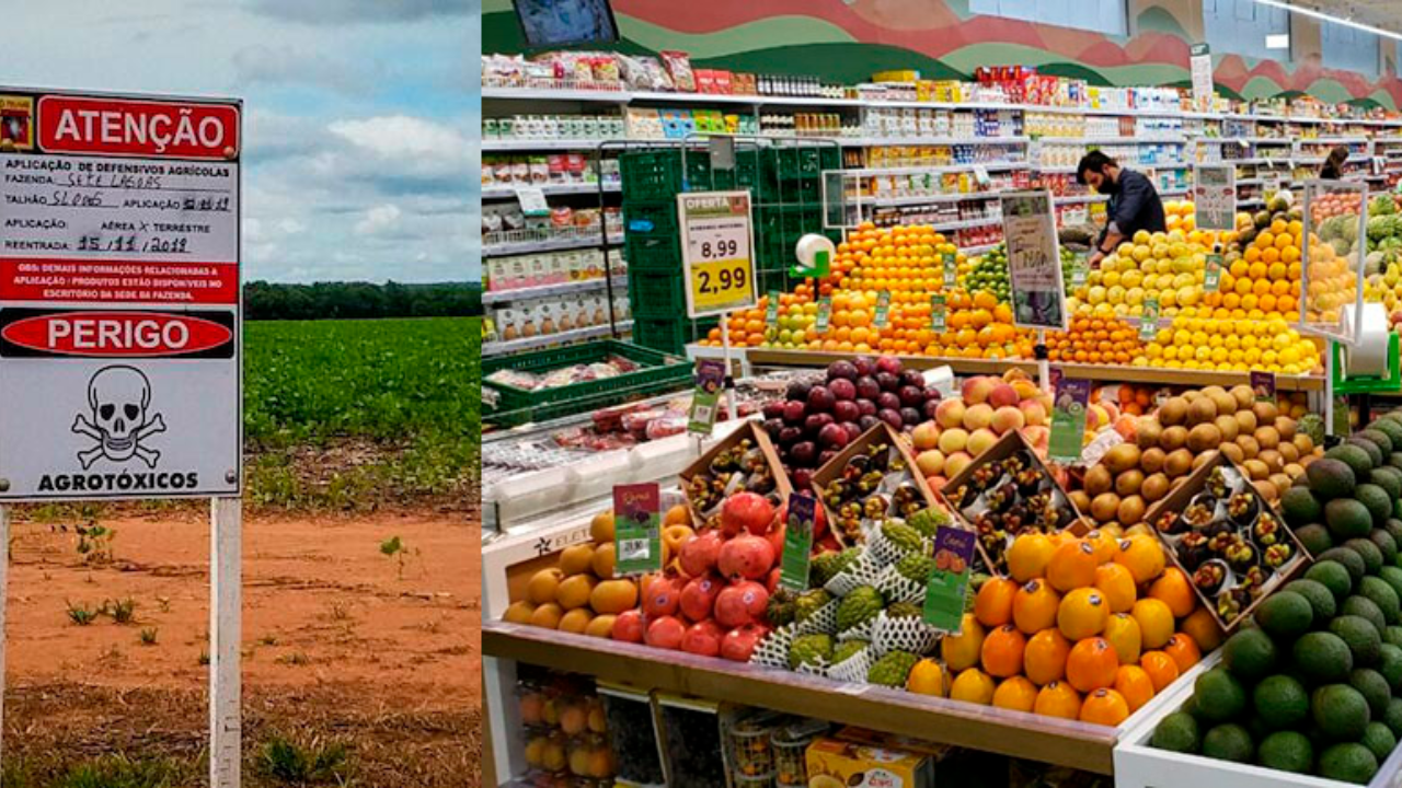 Comparação entre área com agrotóxicos e frutas no supermercado